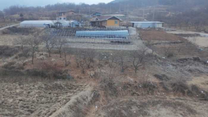 경상남도 함양군 함양읍 난평리 651 외 2필지 전 경매 사진 3