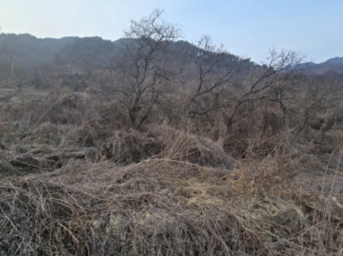 경상남도 함양군 함양읍 난평리 651 외 2필지 전 경매 사진 4