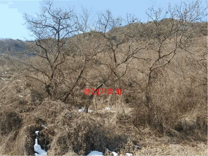 경상남도 함양군 함양읍 난평리 651 외 2필지 전 경매 사진 5