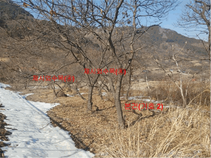 경상남도 함양군 함양읍 난평리 651 외 2필지 전 경매 사진 7