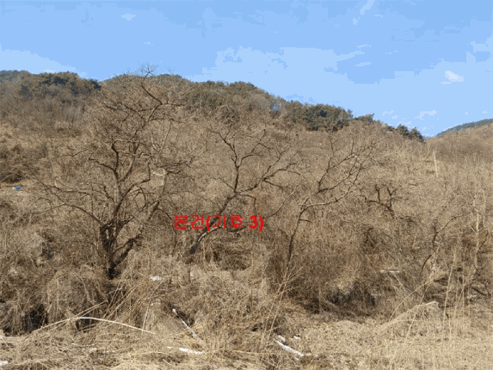 경상남도 함양군 함양읍 난평리 651 외 2필지 전 경매 사진 8