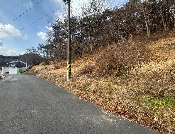 전라남도 화순군 동면 복암리 751-2 외 1필지 전 경매 사진 1
