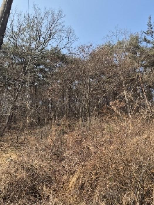 전라남도 화순군 동면 복암리 751-2 외 1필지 전 경매 사진 11