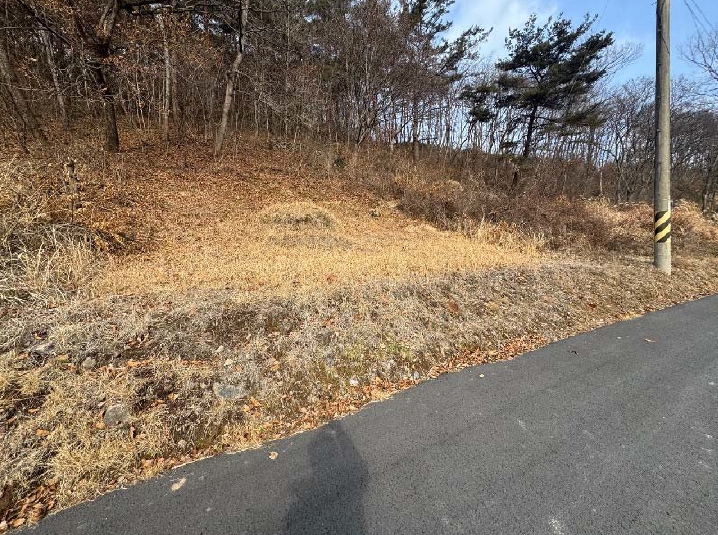전라남도 화순군 동면 복암리 751-2 외 1필지 전 경매 사진 3