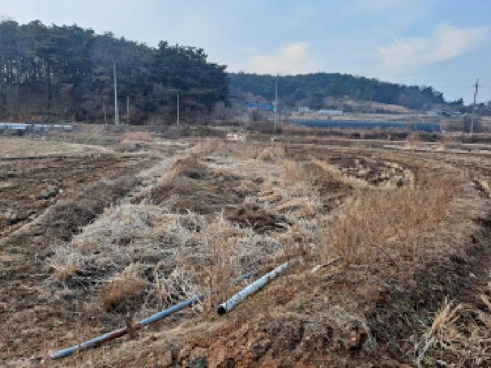 충청남도 당진시 송악읍 석포리 112 답 경매 사진 37