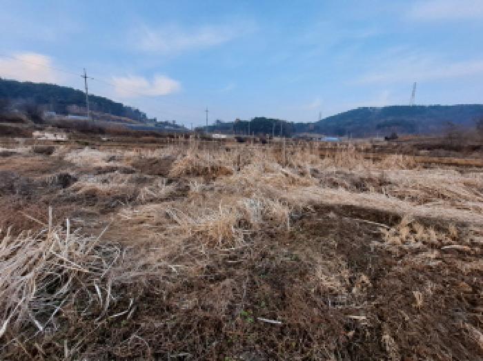 충청남도 당진시 송악읍 석포리 112 답 경매 사진 39