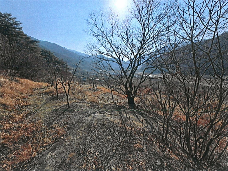 경상북도 청도군 매전면 하평리 산2 외 2필지 임야 경매 사진 2
