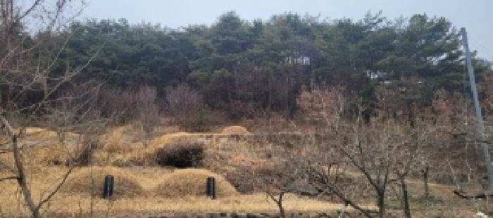 경상북도 청도군 매전면 하평리 산2 외 2필지 임야 경매 사진 16