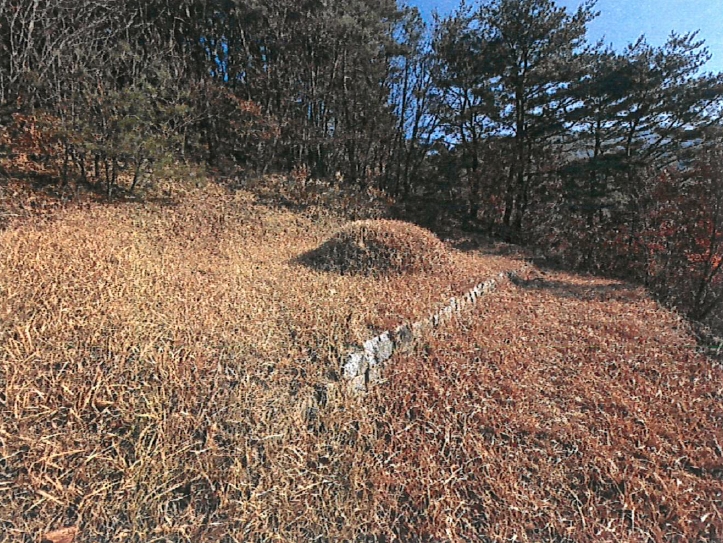 경상북도 청도군 매전면 하평리 산2 외 2필지 임야 경매 사진 4