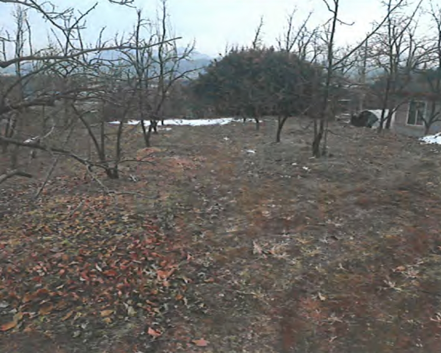 경상북도 상주시 낙동면 장곡리 634 외 1필지 답 경매 사진 2