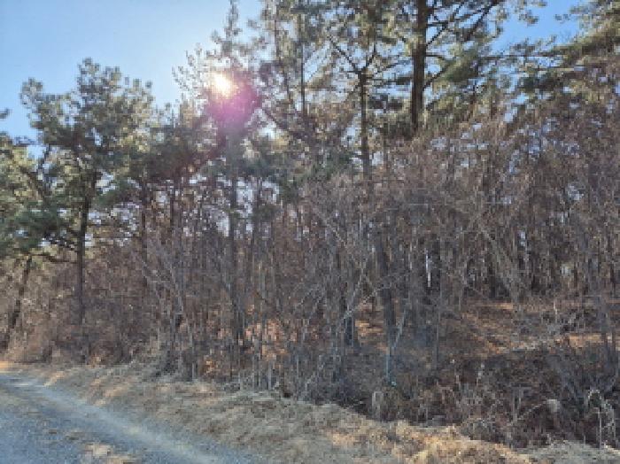 울산광역시 울주군 서생면 용리 산7-6 외 3필지 임야 경매 사진 2