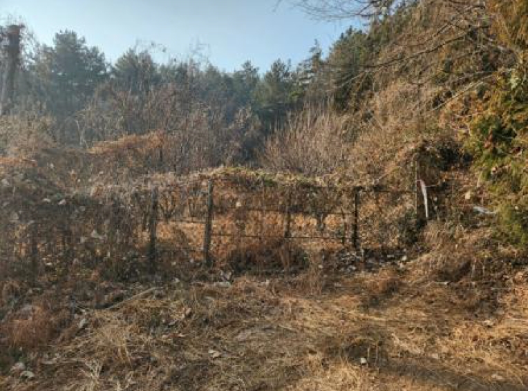 경상남도 통영시 도산면 법송리 1185 답 경매 사진 2