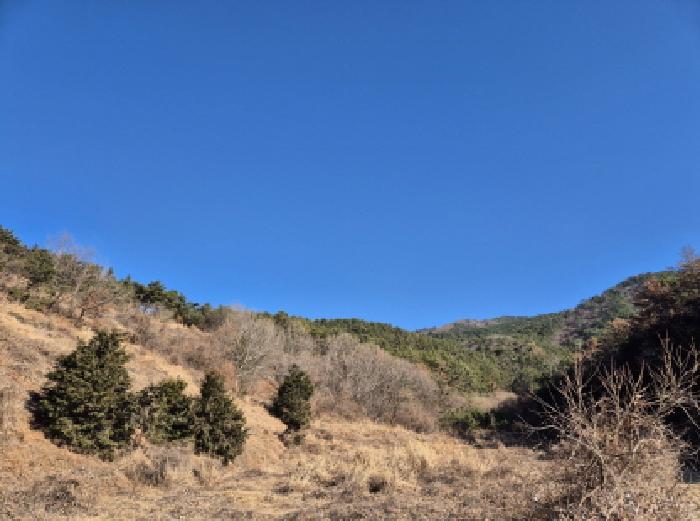 경상남도 고성군 거류면 가려리 588 외 4필지 전 경매 사진 1