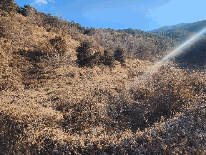 경상남도 고성군 거류면 가려리 588 외 4필지 전 경매 사진 13