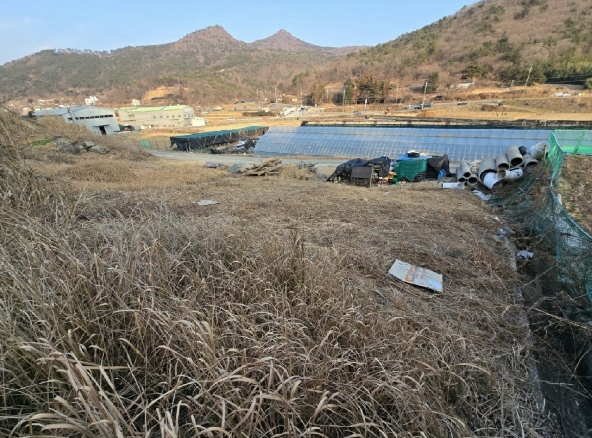 경상남도 거제시 양정동 산86-3 임야 경매 사진 10