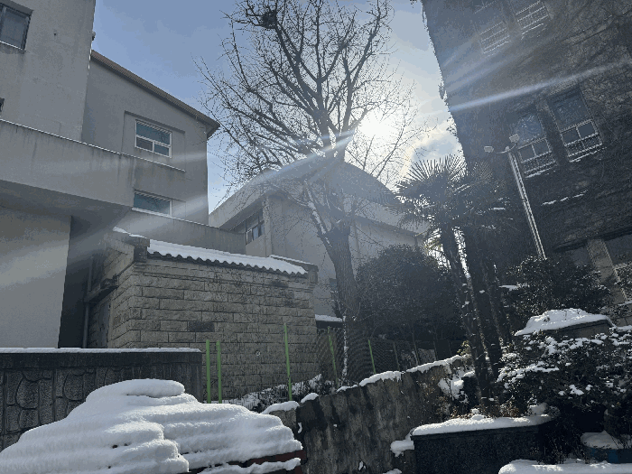 전라남도 목포시 북교동 177-1 외 2필지 의료시설 경매 사진 48