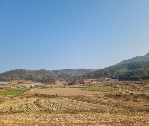 전라남도 해남군 화원면 영호리 산75 임야 경매 사진 11