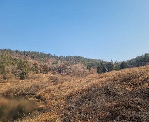 전라남도 해남군 화원면 영호리 산75 임야 경매 사진 12