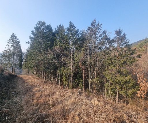 전라남도 해남군 화원면 영호리 산75 임야 경매 사진 13
