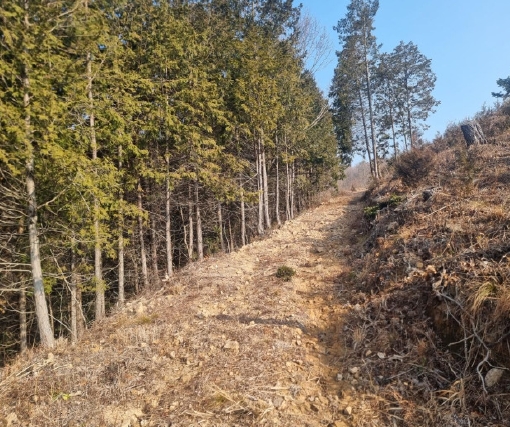 전라남도 해남군 화원면 영호리 산75 임야 경매 사진 14