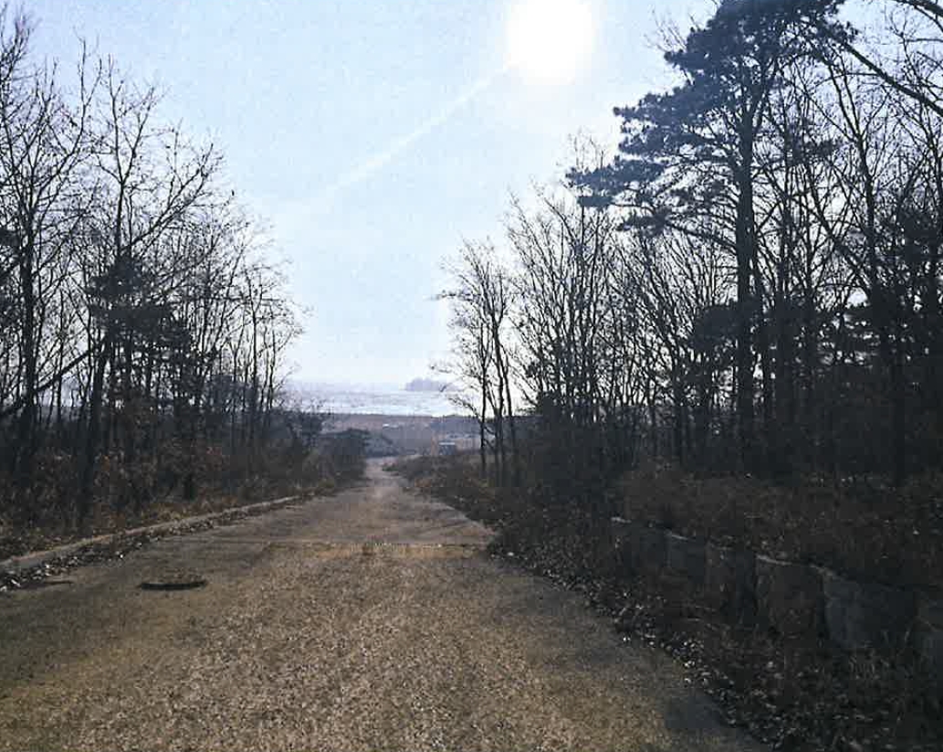 인천광역시 강화군 삼산면 매음리 649-7 외 1필지 임야 경매 사진 3