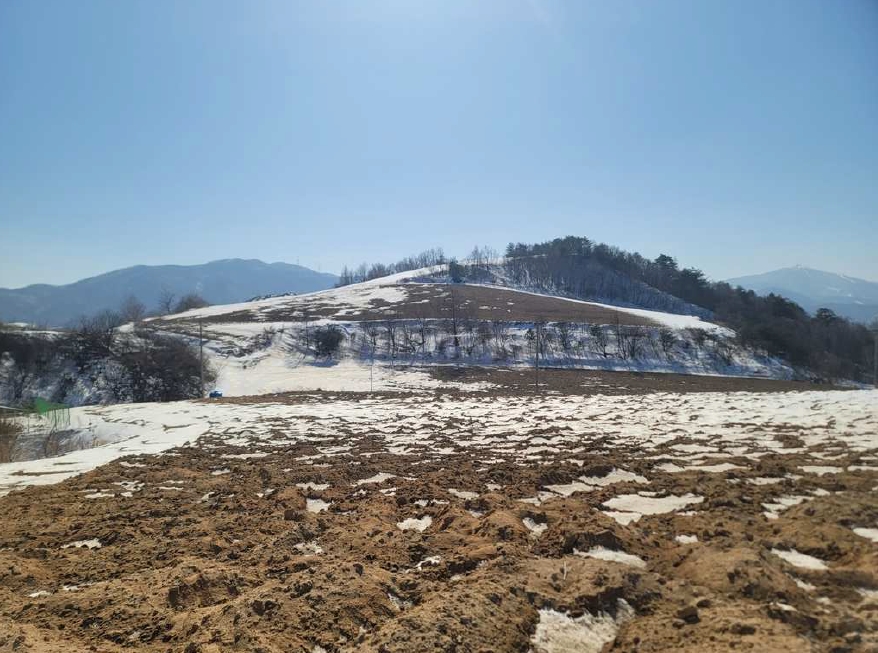 강원특별자치도 평창군 대관령면 횡계리 185-47 임야 경매 사진 9