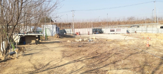 충청북도 청주시 청원구 내수읍 마산리 41-4 외 18필지 체육용지 경매 사진 5