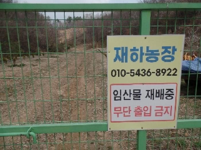 충청남도 계룡시 엄사면 도곡리 산20 임야 경매 사진 45