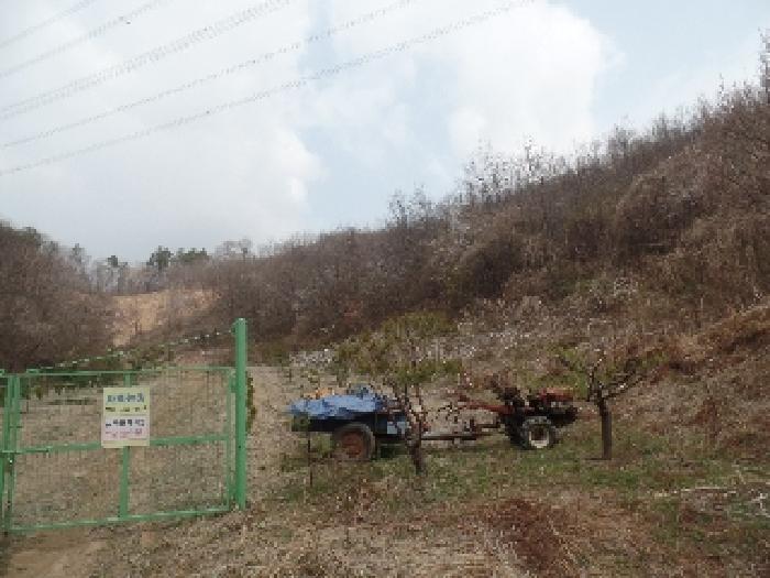 충청남도 계룡시 엄사면 도곡리 산20 임야 경매 사진 46