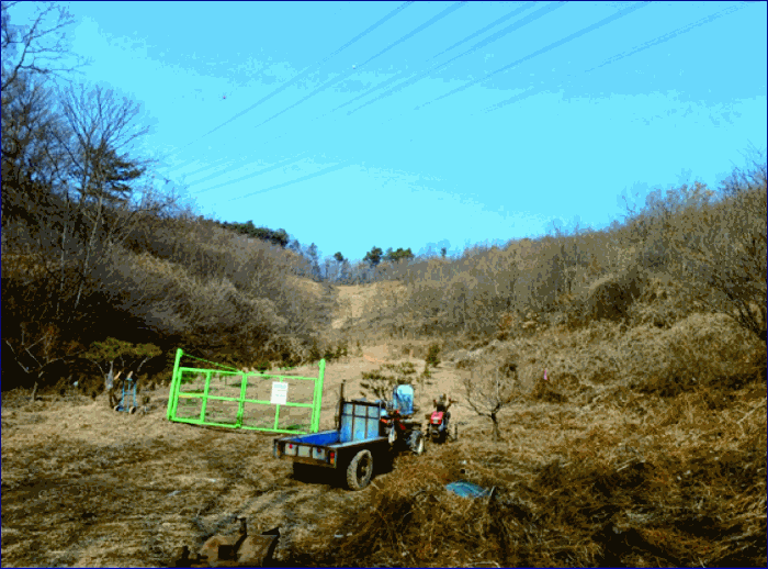 충청남도 계룡시 엄사면 도곡리 산20 임야 경매 사진 56
