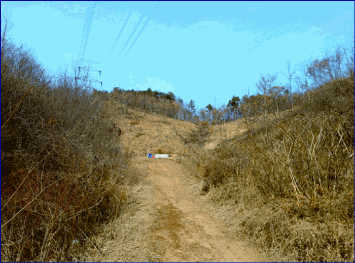 충청남도 계룡시 엄사면 도곡리 산20 임야 경매 사진 57
