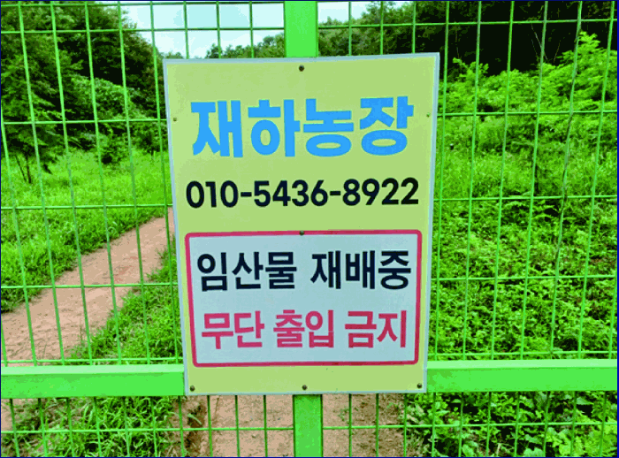 충청남도 계룡시 엄사면 도곡리 산20 임야 경매 사진 63
