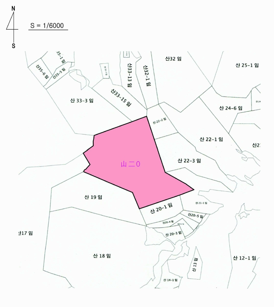 충청남도 계룡시 엄사면 도곡리 산20 임야 경매 사진 66