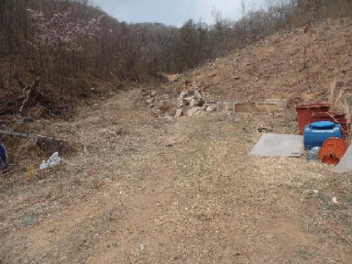 충청남도 계룡시 엄사면 도곡리 산20 임야 경매 사진 42