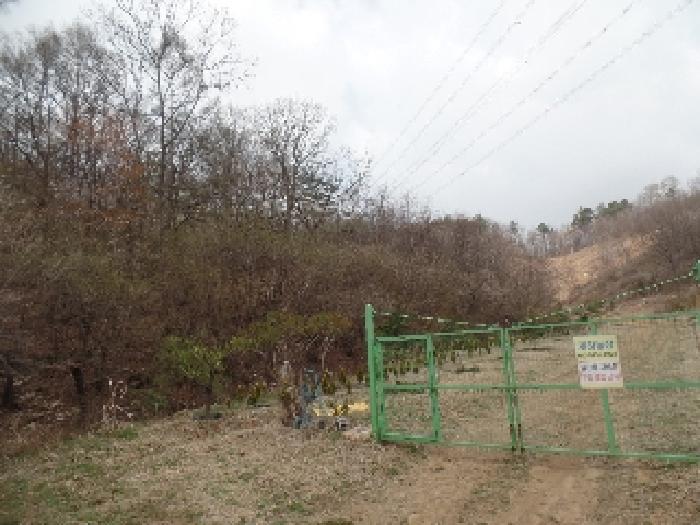 충청남도 계룡시 엄사면 도곡리 산20 임야 경매 사진 43