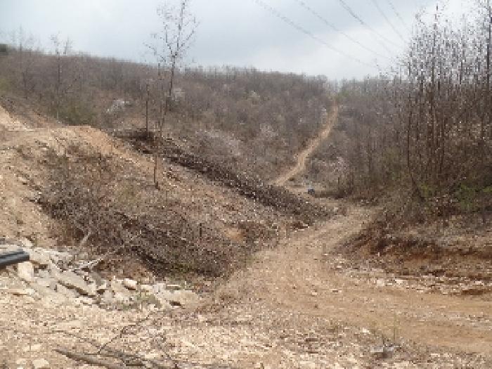 충청남도 계룡시 엄사면 도곡리 산20 임야 경매 사진 44