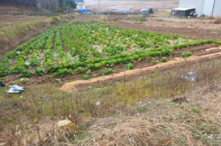 충청남도 서산시 대산읍 기은리 232 외 4필지 창고용지 경매 사진 21