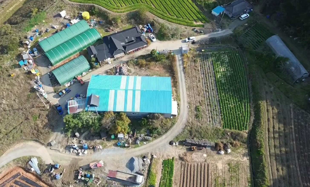 충청남도 서산시 대산읍 기은리 232 외 4필지 창고용지 경매 사진 4