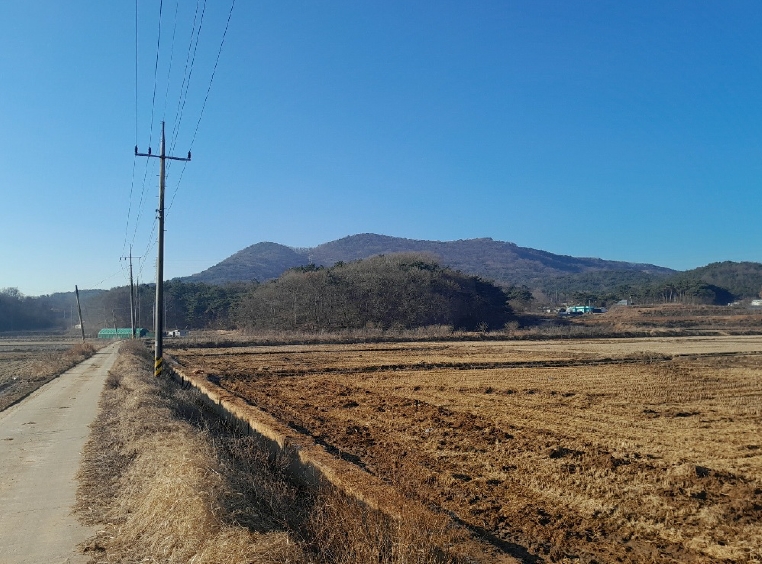 충청남도 서산시 대산읍 운산리 198-72 임야 경매 사진 19