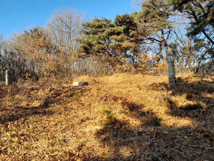 충청남도 서산시 대산읍 운산리 198-72 임야 경매 사진 24