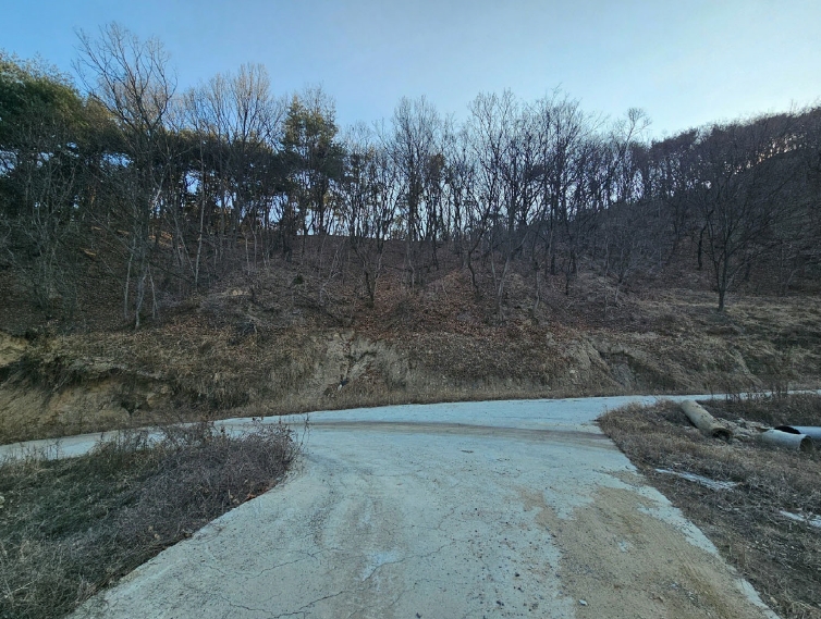 경상북도 김천시 감문면 문무리 1288 외 2필지 동물및식물관련시설 경매 사진 2
