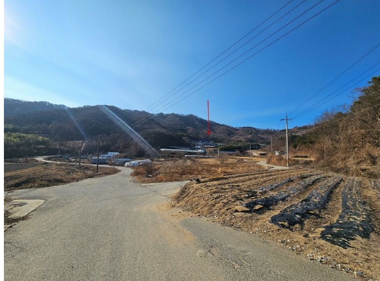 경상북도 김천시 감문면 문무리 1288 외 2필지 동물및식물관련시설 경매 사진 20