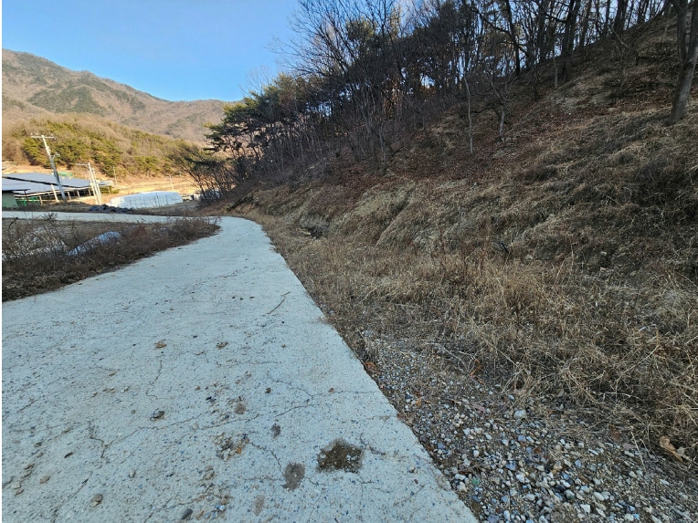 경상북도 김천시 감문면 문무리 1288 외 2필지 동물및식물관련시설 경매 사진 3
