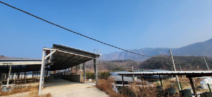 경상북도 김천시 감문면 문무리 1288 외 2필지 동물및식물관련시설 경매 사진 24