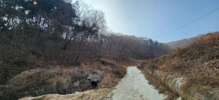 경상북도 김천시 감문면 문무리 1288 외 2필지 동물및식물관련시설 경매 사진 26