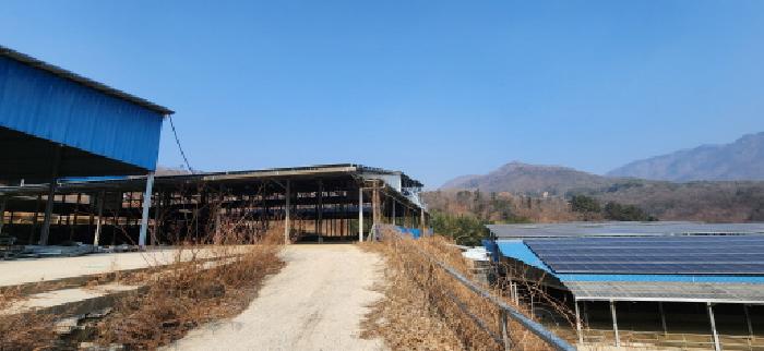 경상북도 김천시 감문면 문무리 1288 외 2필지 동물및식물관련시설 경매 사진 36