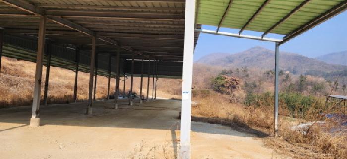 경상북도 김천시 감문면 문무리 1288 외 2필지 동물및식물관련시설 경매 사진 44