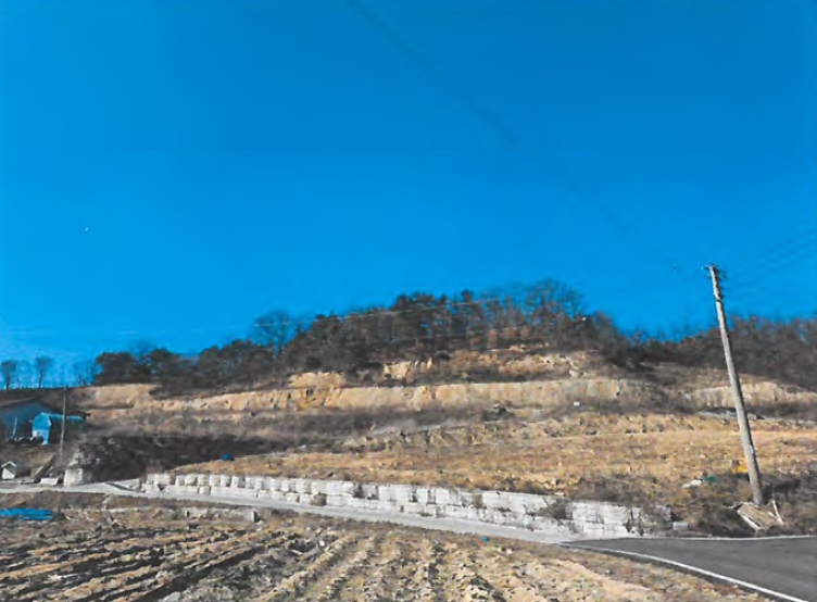 경상북도 김천시 덕곡동 산29-15 외 4필지 임야 경매 사진 1