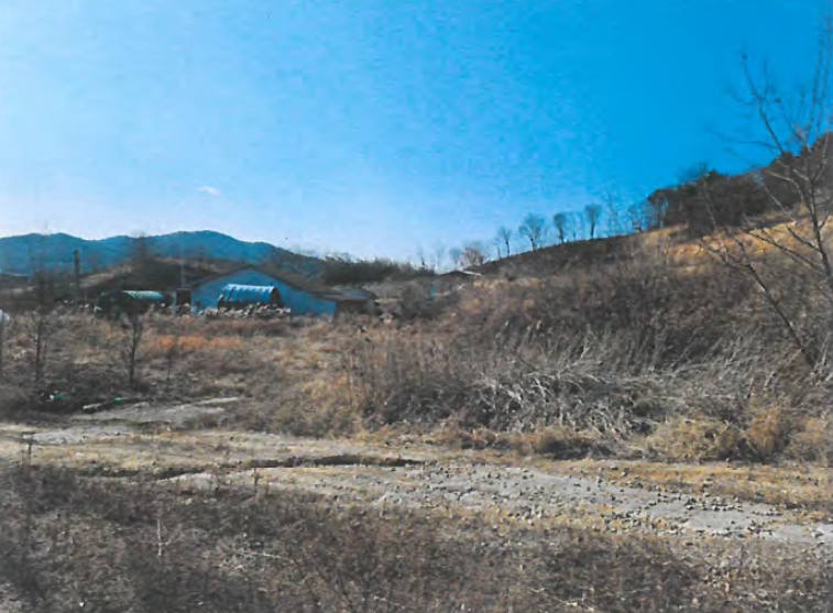 경상북도 김천시 덕곡동 산29-15 외 4필지 임야 경매 사진 3