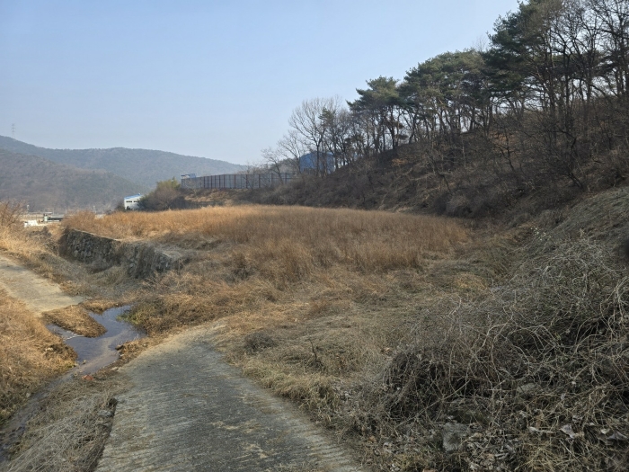 울산광역시 울주군 두서면 미호리 776-1 답 경매 사진 2